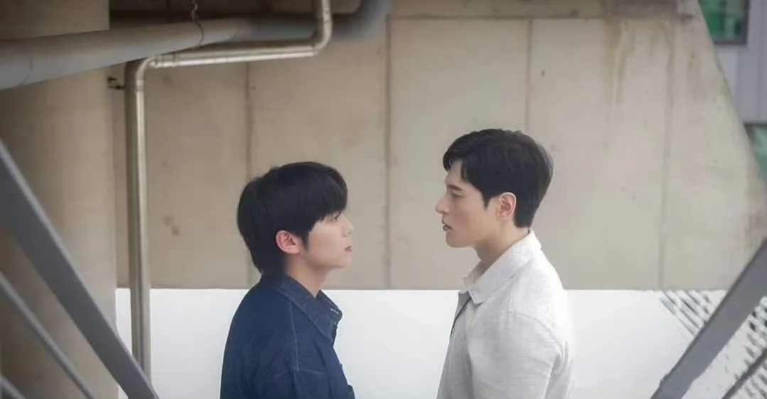 捅了腐短剧的窝了？