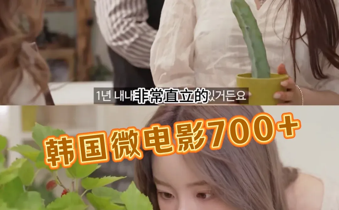 一看就爱上的韩剧短剧合集！