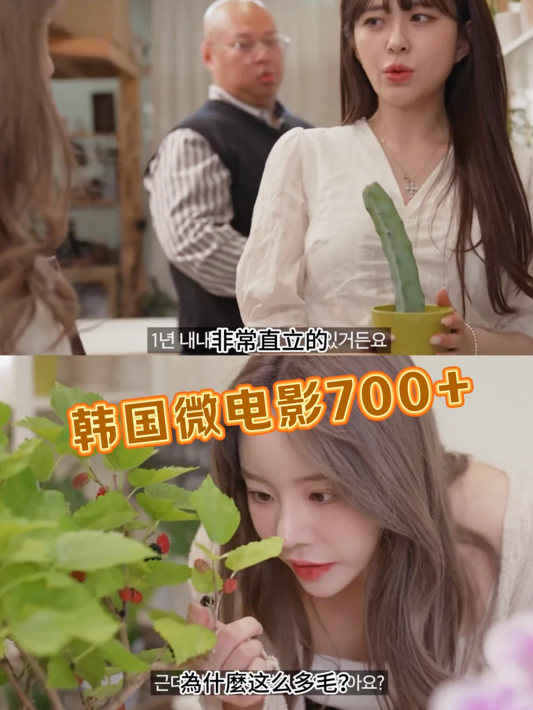 一看就爱上的韩剧短剧合集！