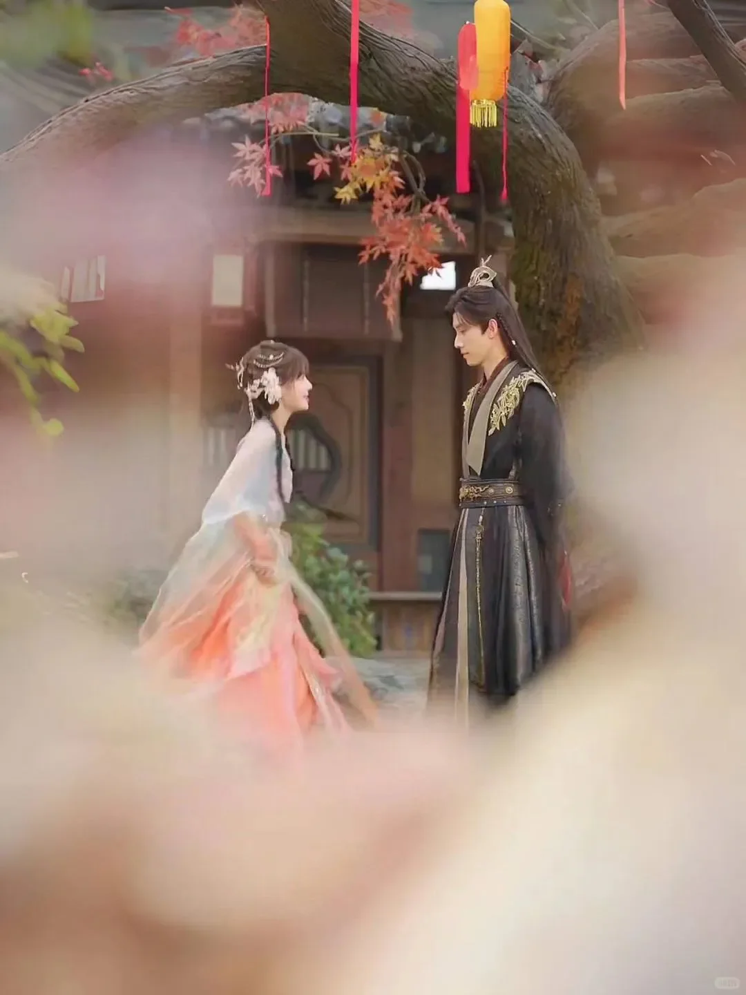 以前不爱看古装，但是这部也太甜了吧！！