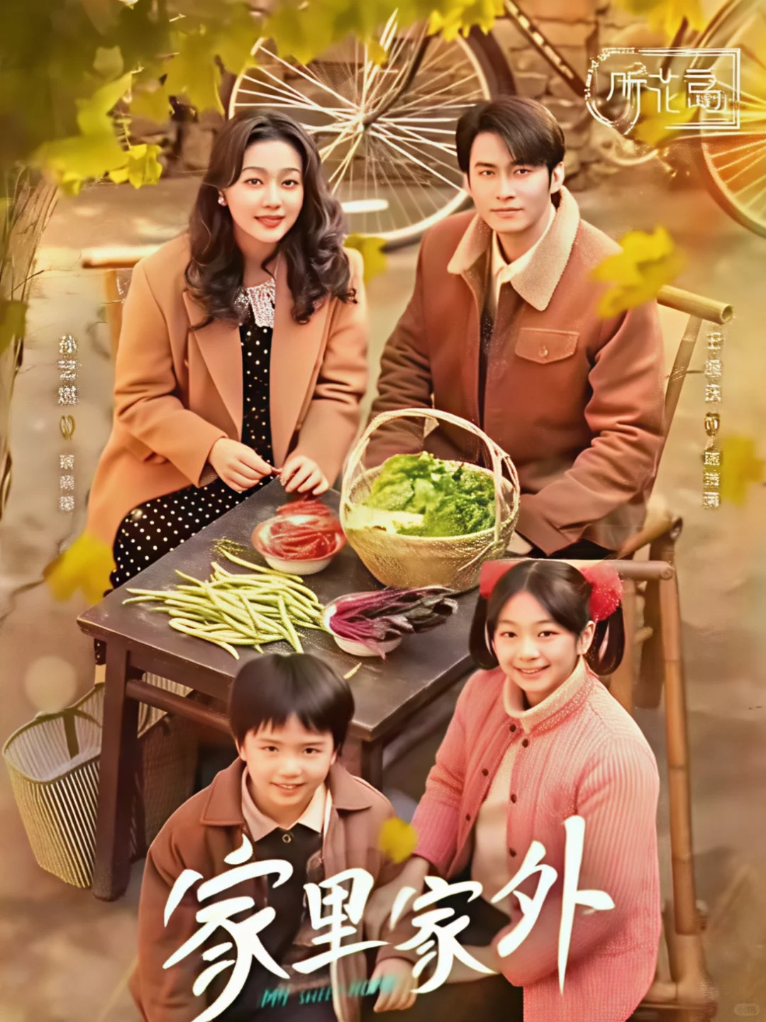 年度最佳短剧！ 10分满分剧《家里家外》