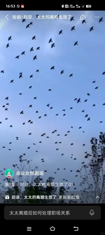 最近有没有特别好看的短剧