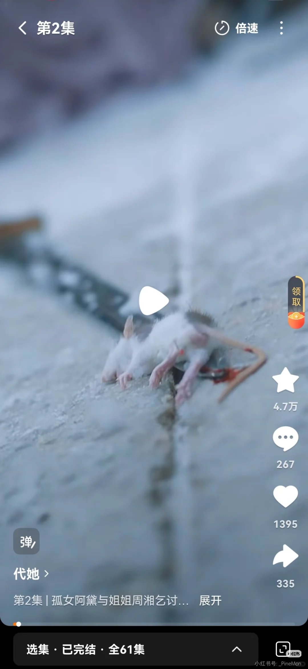 红果短剧你要干嘛？花枝鼠怎么你了？