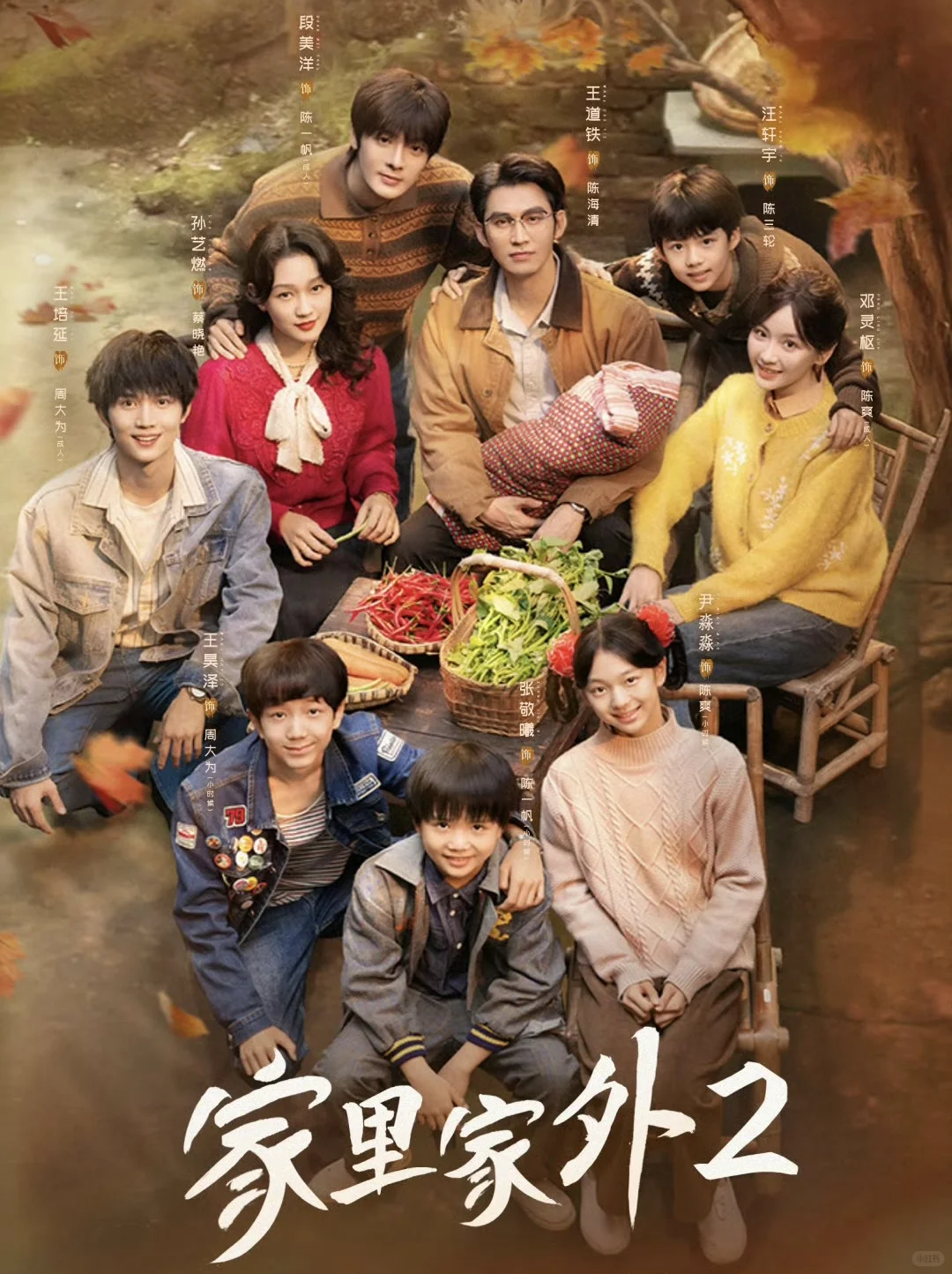 家里家外——强烈推荐！！