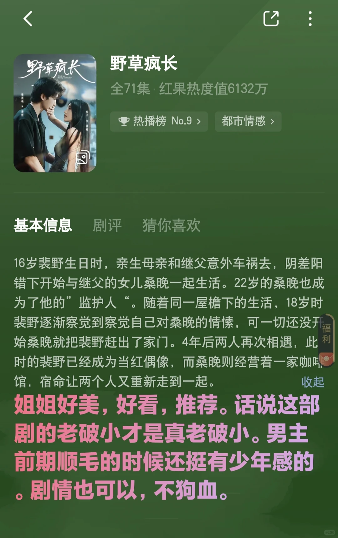 近期观看的短剧测评