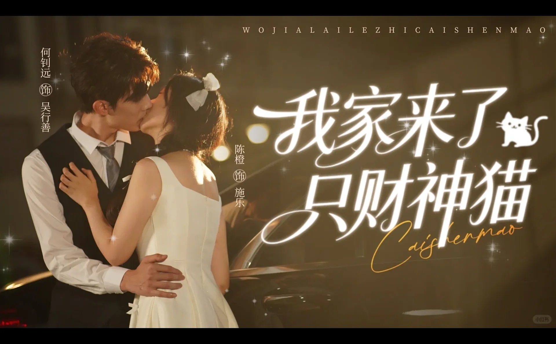 《我家来了只财神猫》｜今日定档❤️🐱❤️