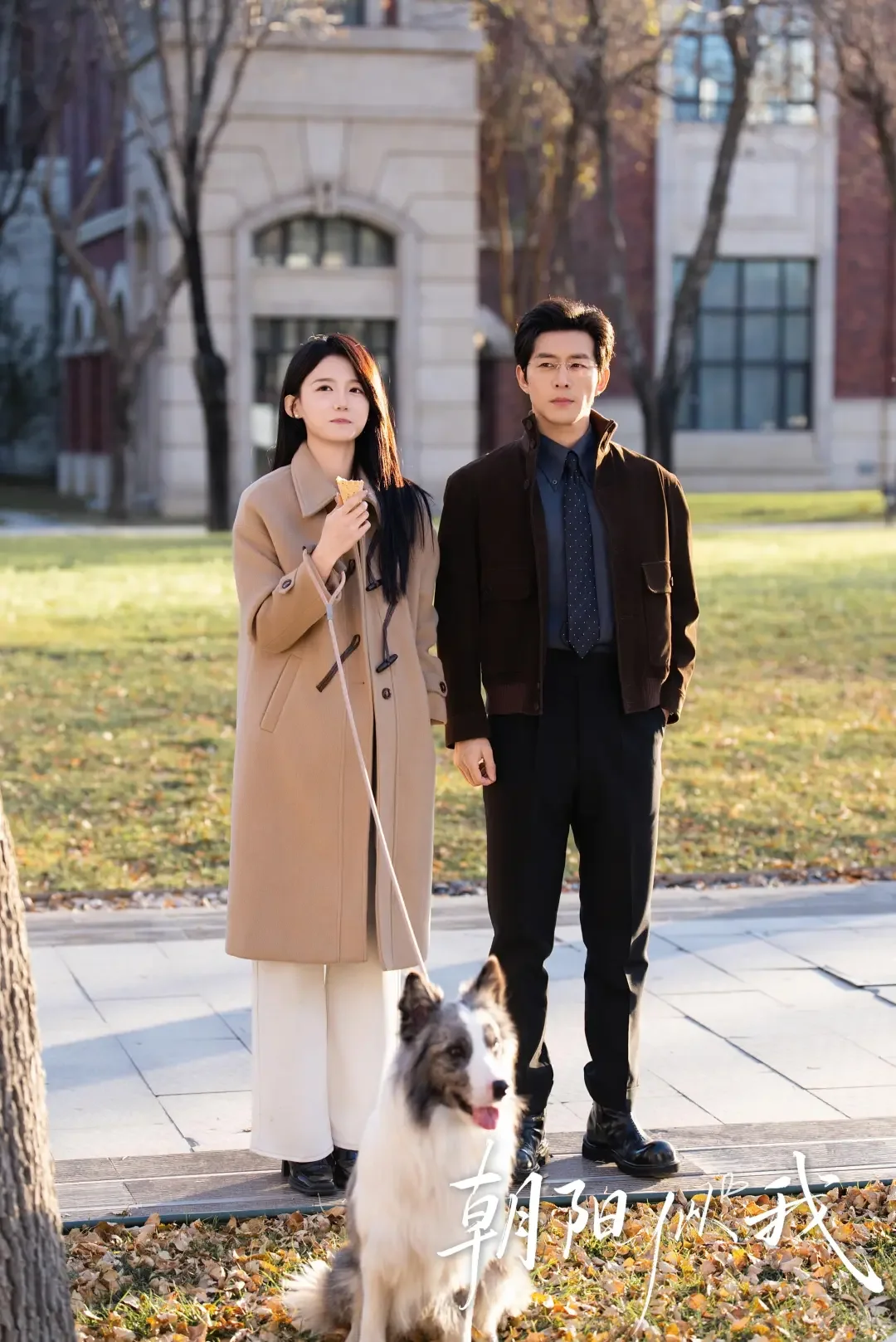 听花岛出品《朝阳似我》