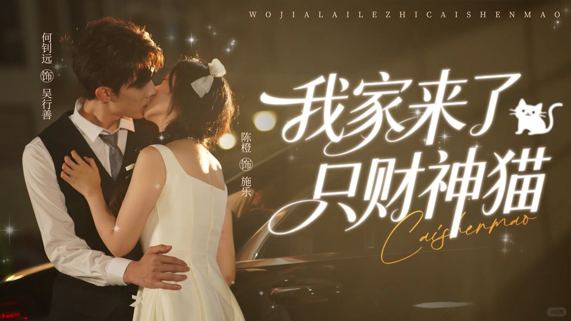 《我家来了只财神猫》｜今日定档❤️🐱❤️