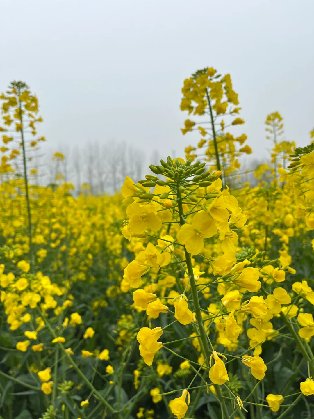 短剧真的不要再看了！