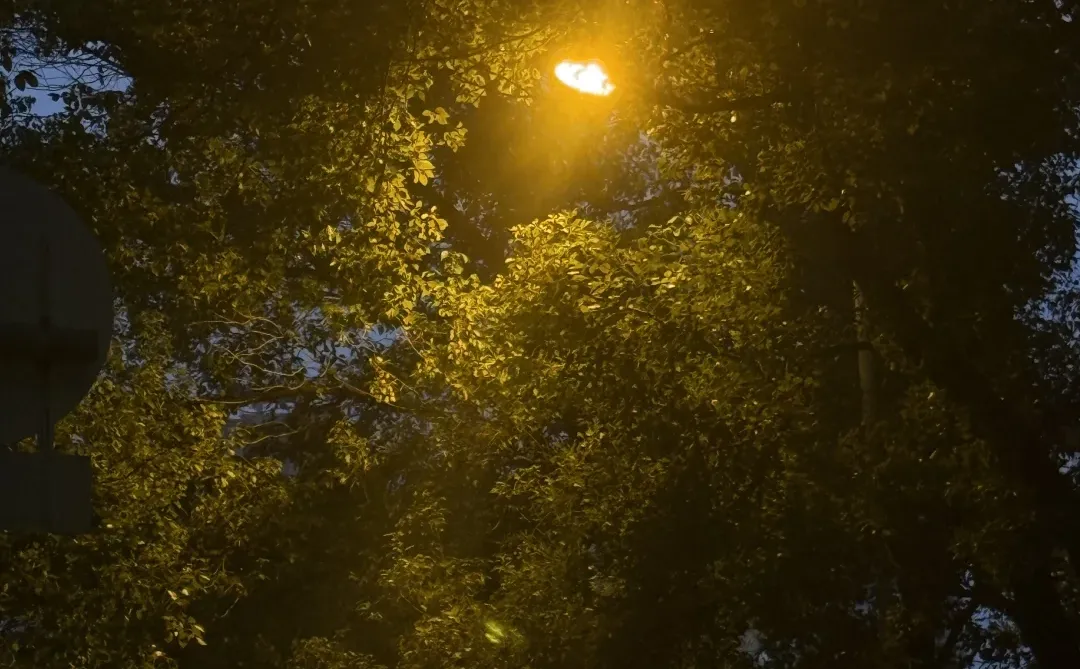 从北校到南校的距离