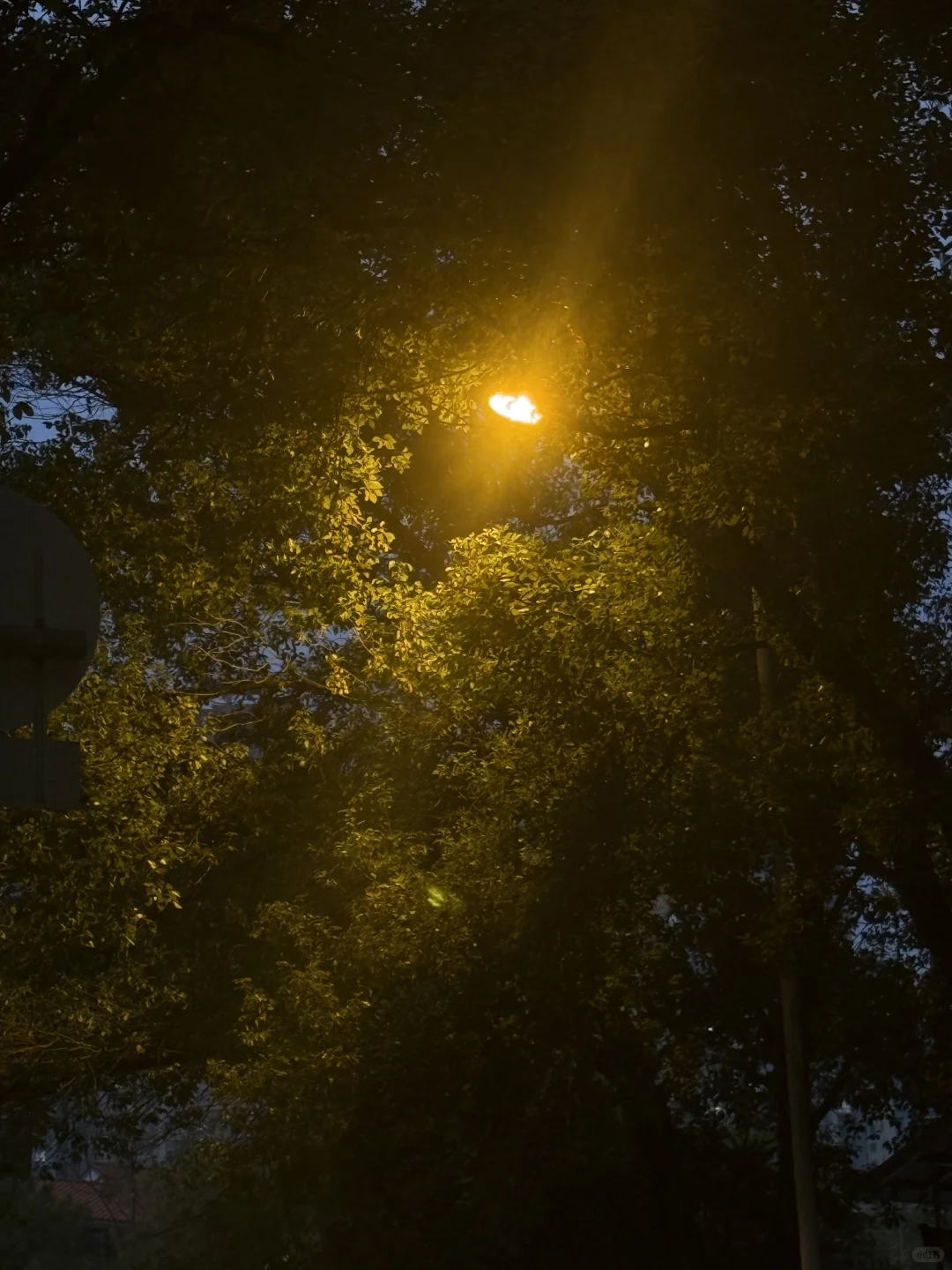 从北校到南校的距离