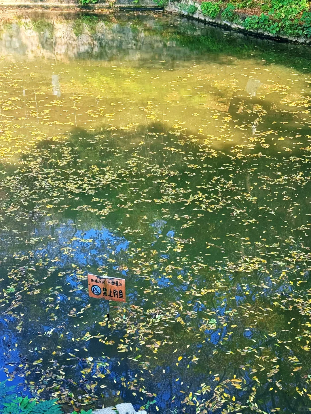 从北校到南校的距离