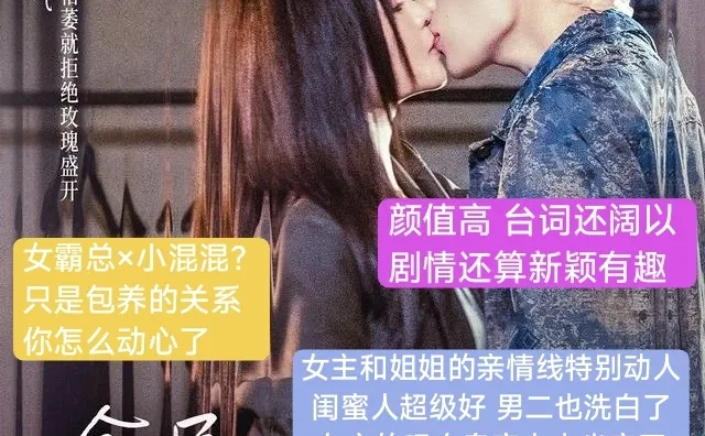 最近看什么！短剧篇