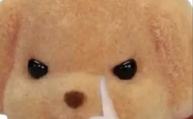 怎样才能谈一个邯郸的帅哥啊