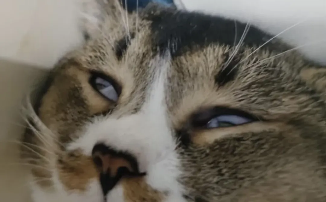 审美积累or审丑积累