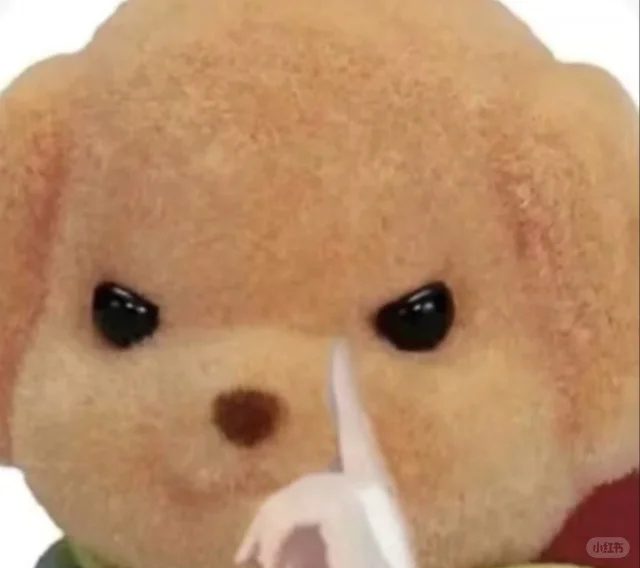 怎样才能谈一个邯郸的帅哥啊