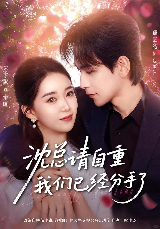 沈总请自重，我们已经分手了 推荐