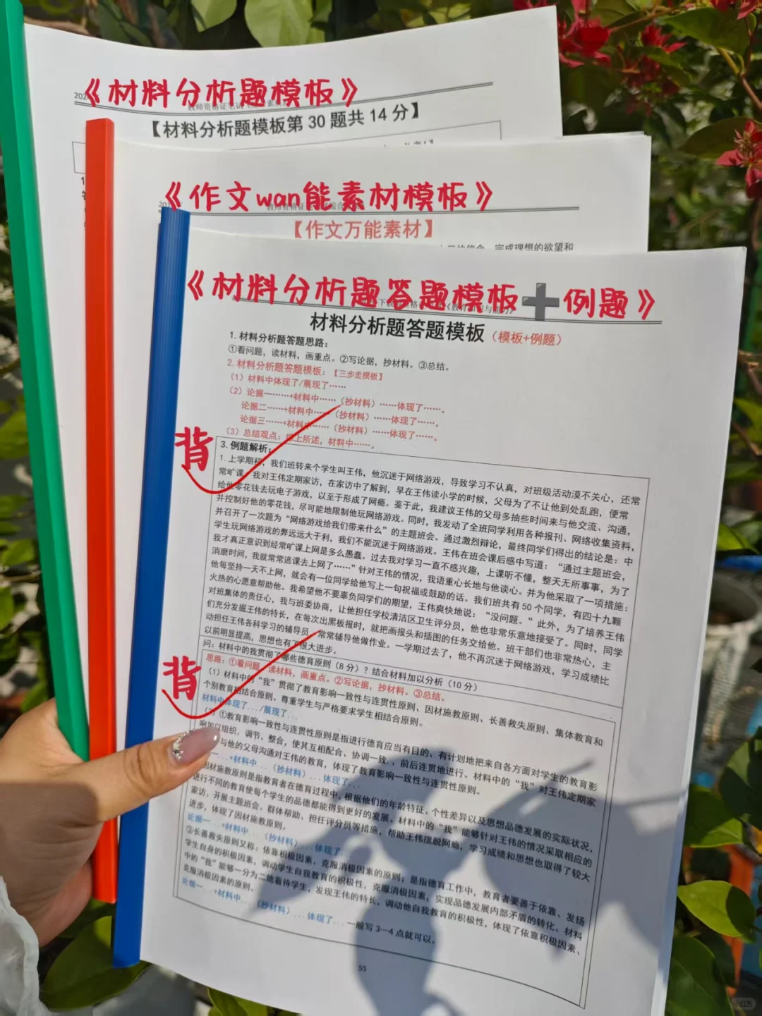 好消息，明年教资新政策，最容易的一年了！