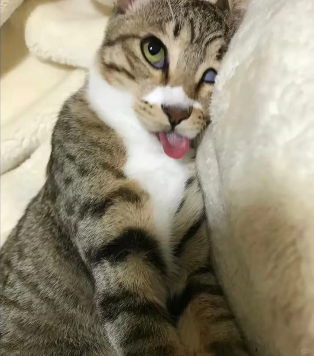 审美积累or审丑积累