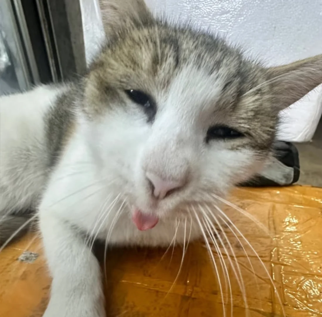 审美积累or审丑积累