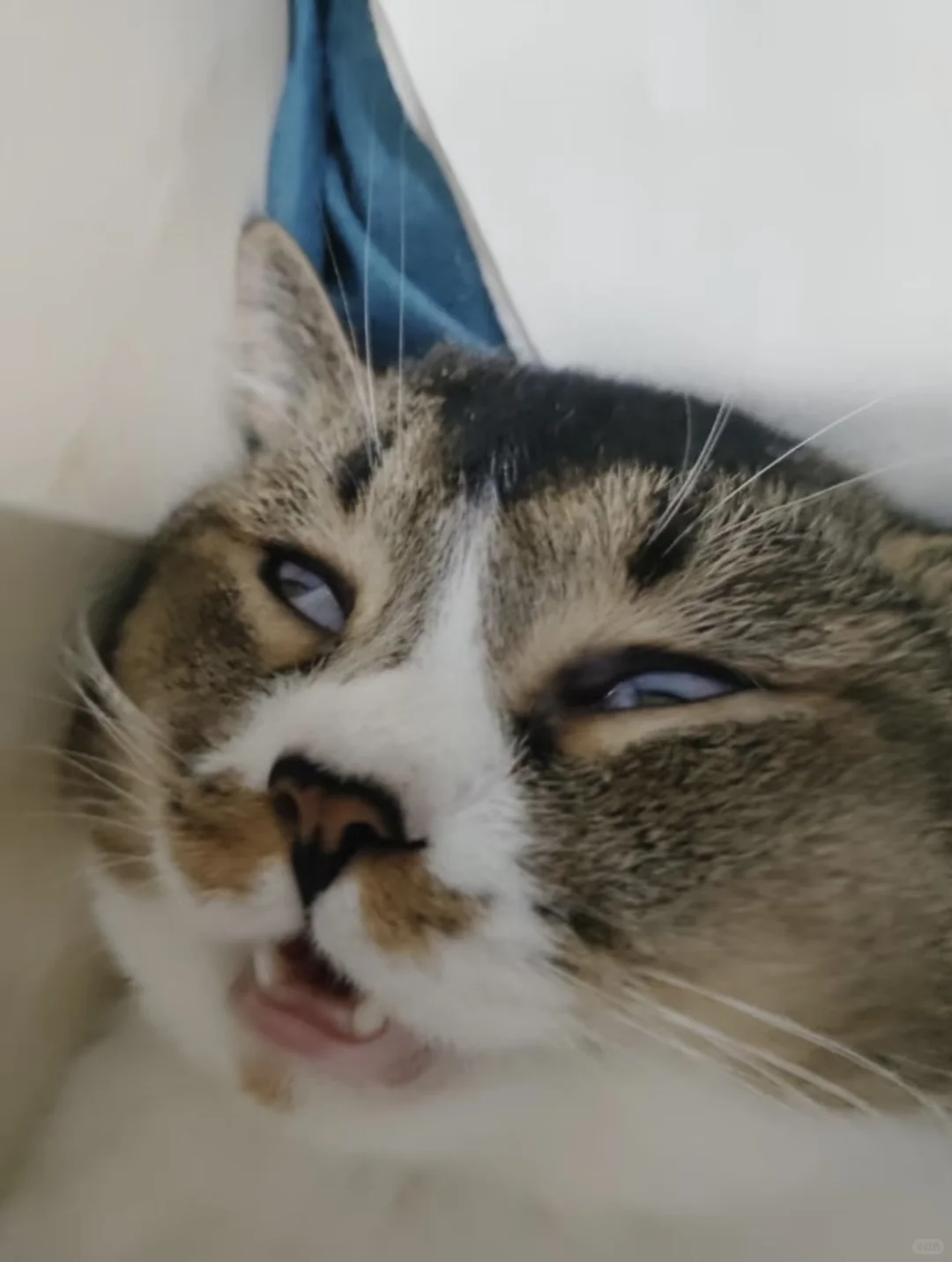 审美积累or审丑积累