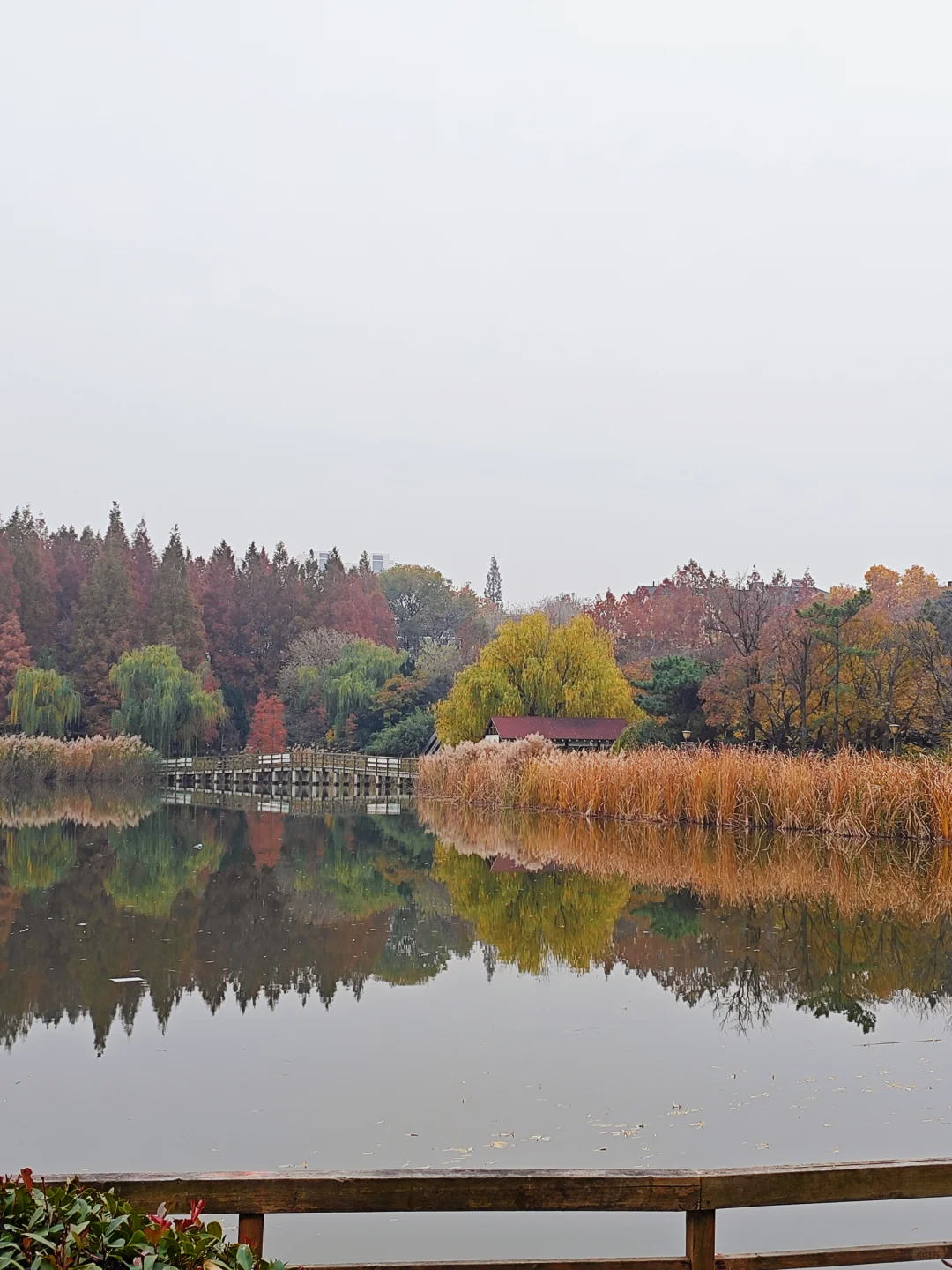 推荐一个适合新人入门的高高飞文体
