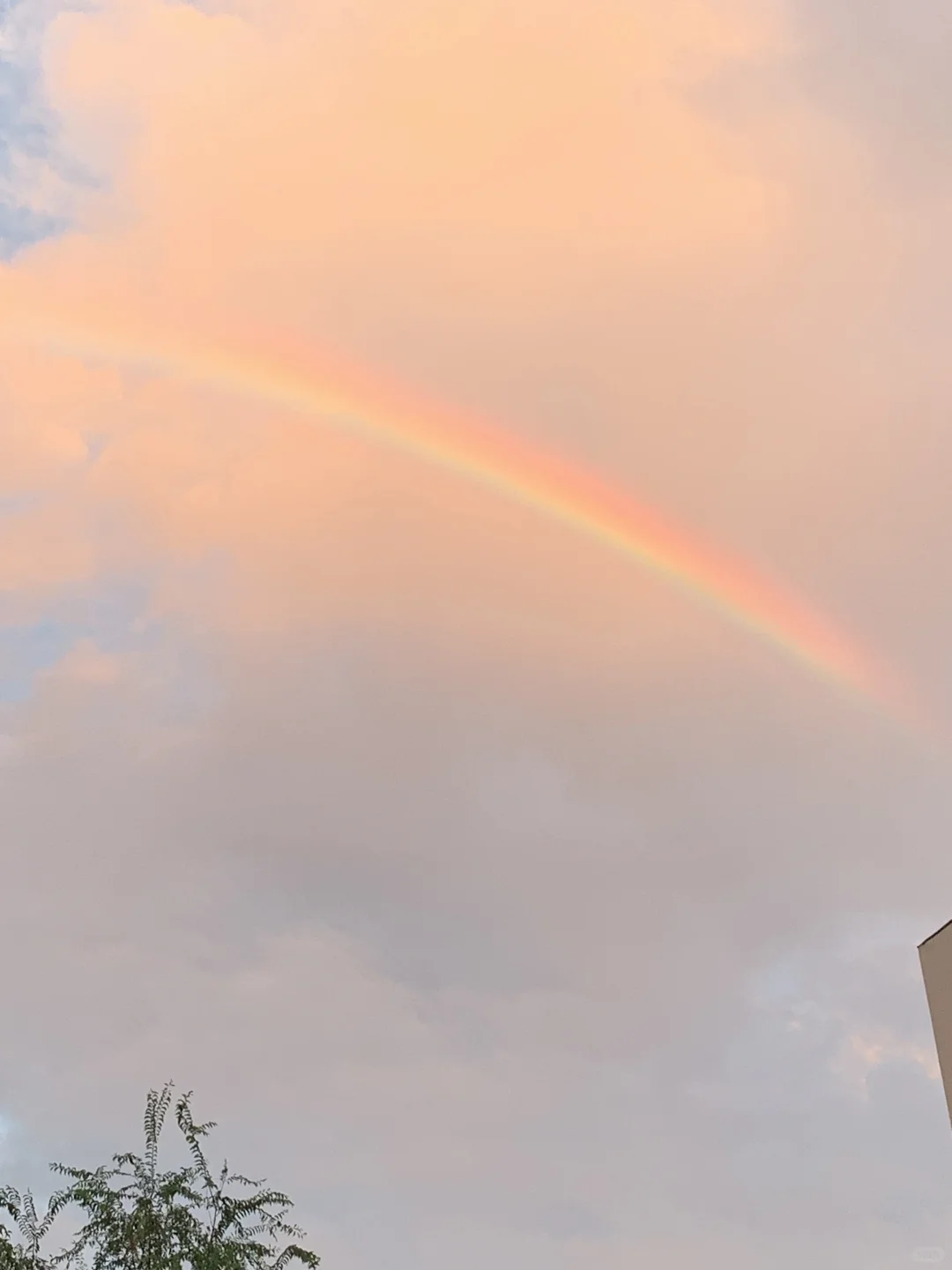 推荐一个适合新人入门的高高飞文体