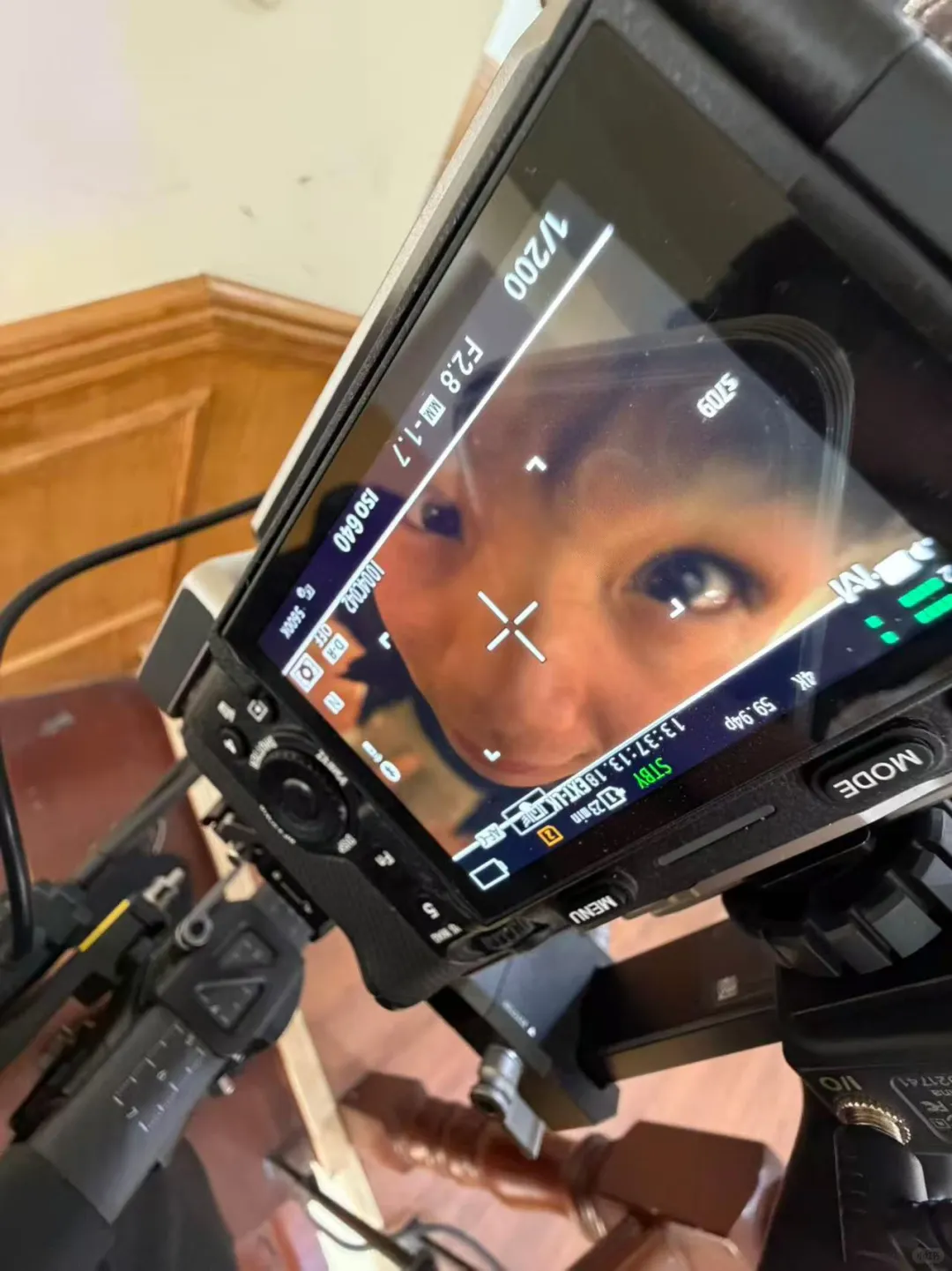 重生之我在短剧干演员副导