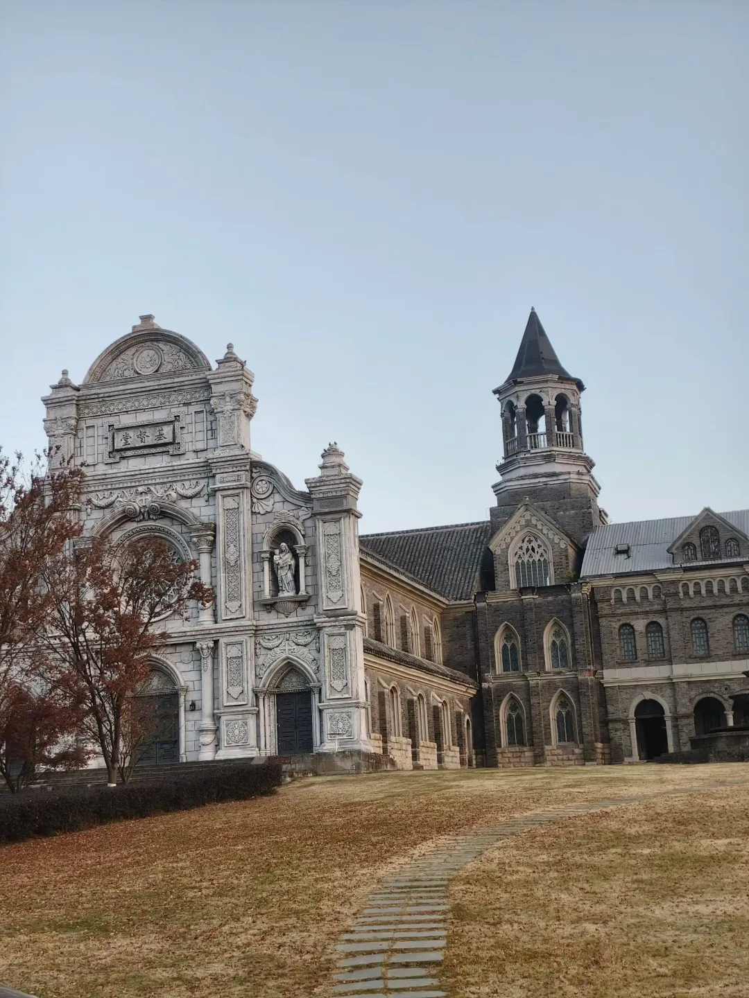 重生之我在短剧干演员副导