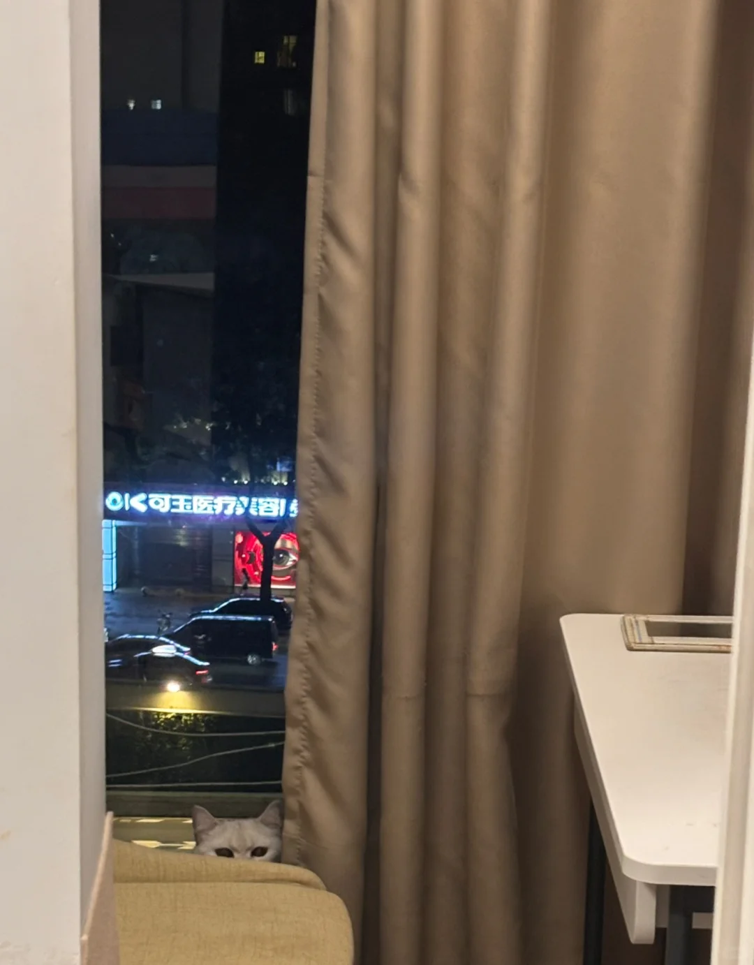 真不是会写字就能当编剧，这是个技术活