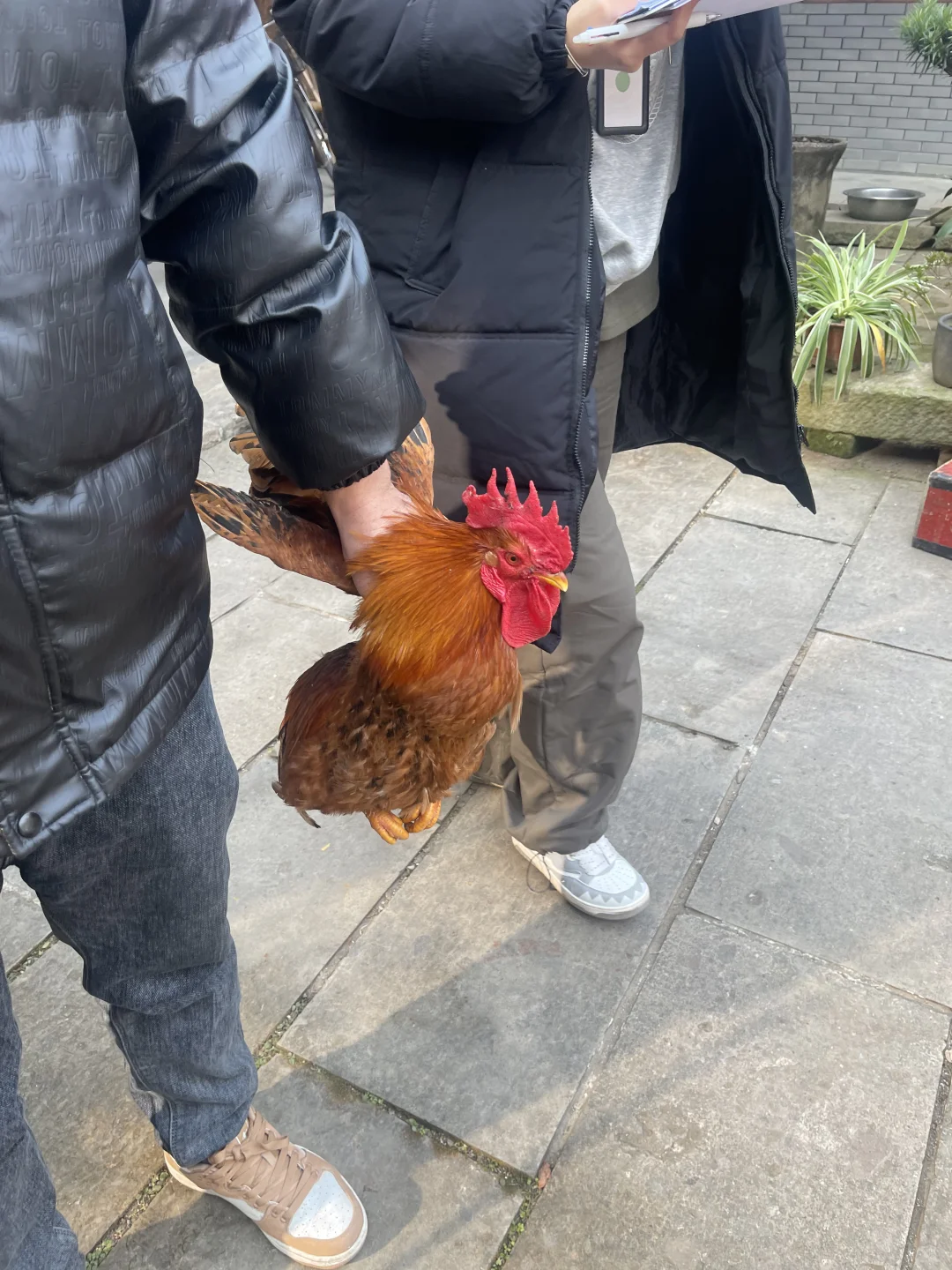 我在横店当甲方🎬带你揭秘4个短剧行业真相