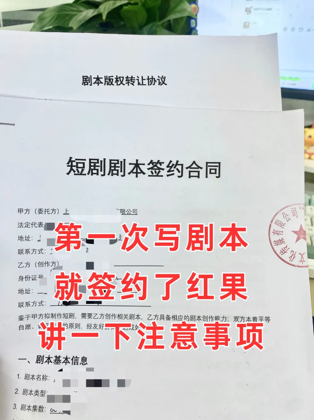 第一次写剧本就签约了红果，给大家讲一下注