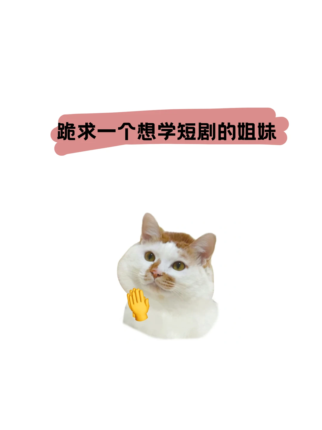 求一个想写短剧的宝子