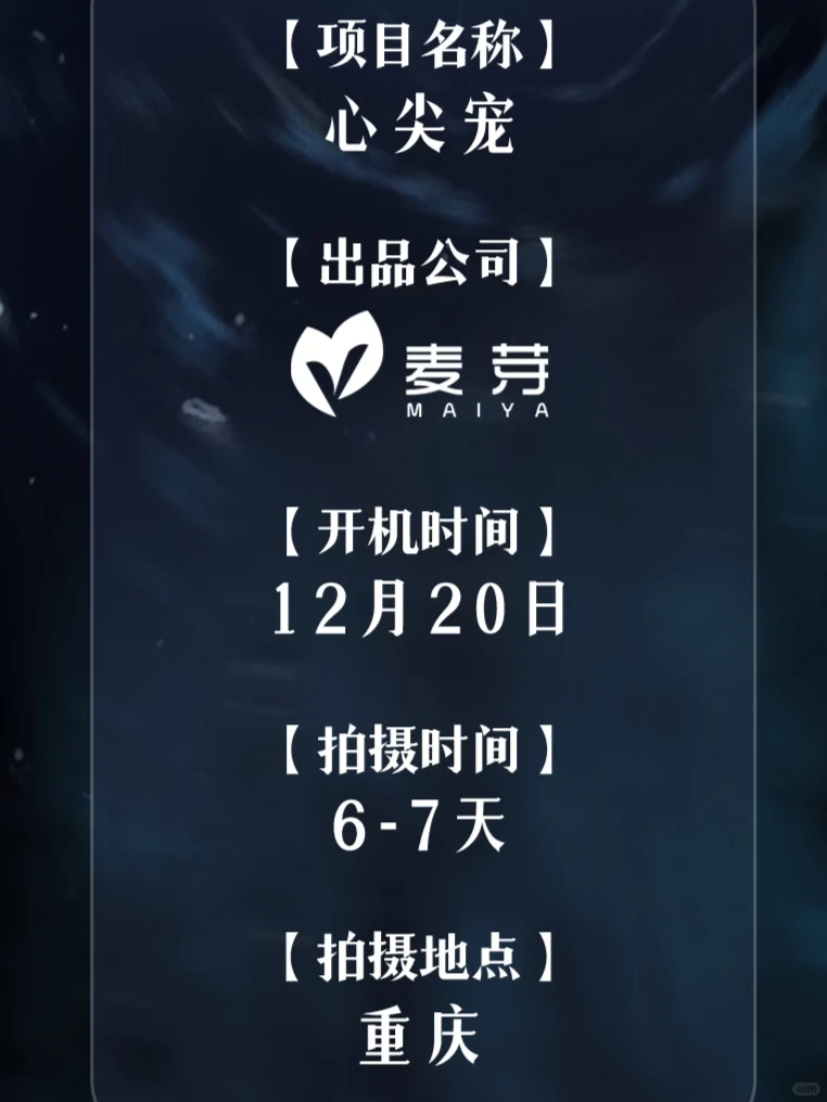 短剧招募！招募！招募！