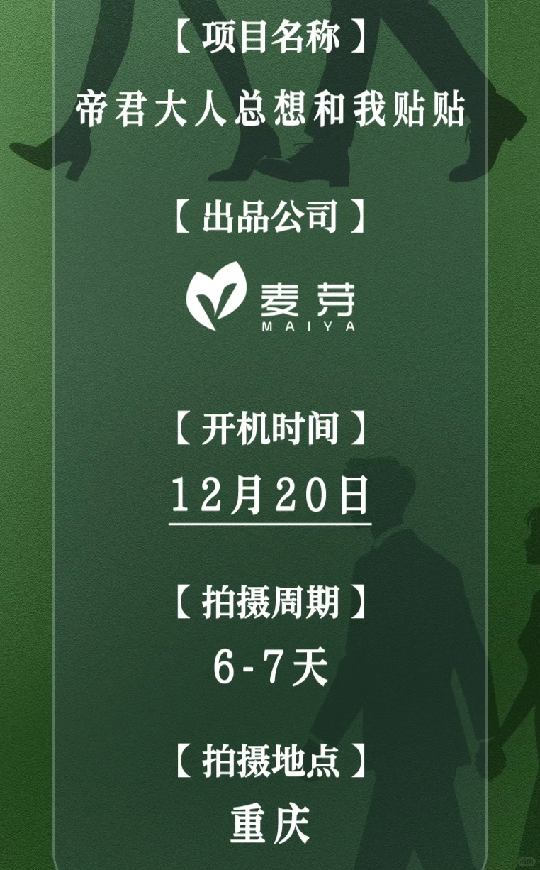 短剧招募！招募！招募！