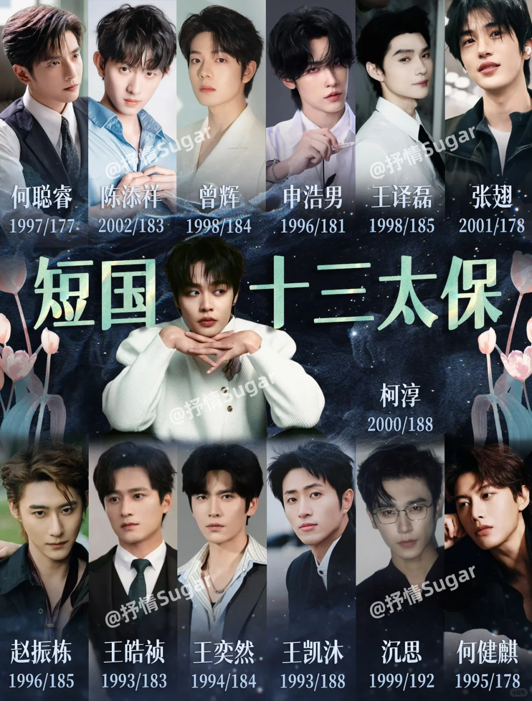 【抒情严选】短国十三太保，谁是你的白月光