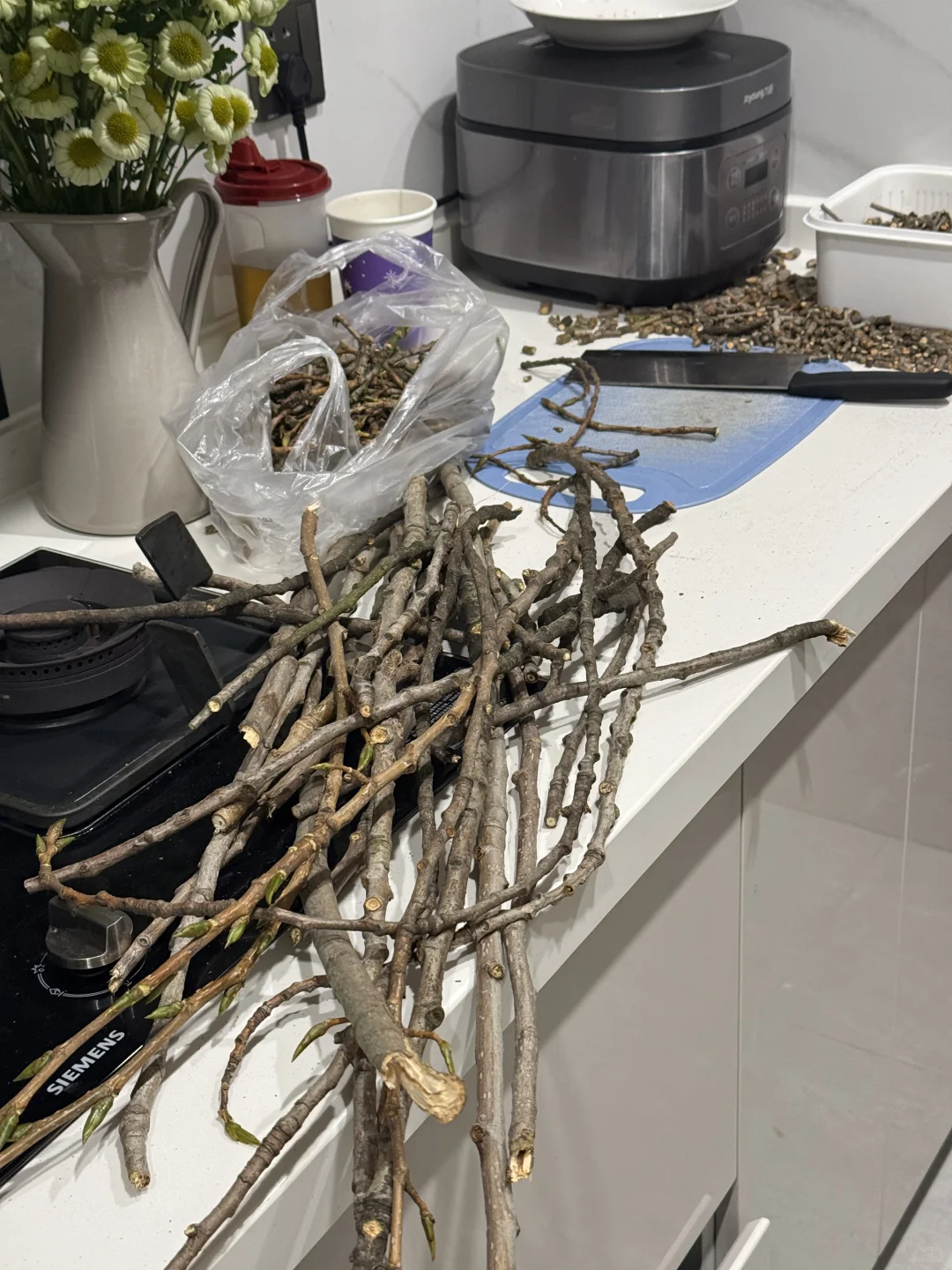 你们切星星树的人嘴是真严啊