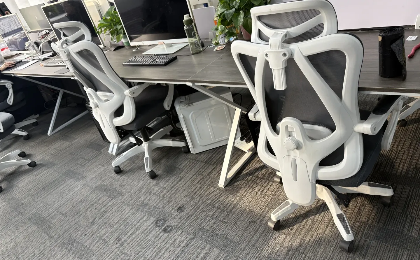 张家口神仙传媒公司！