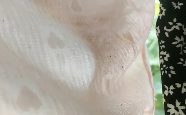 付了，晒外面弄得这是啥