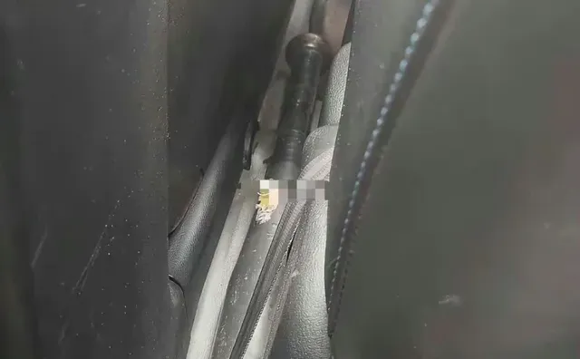 怎么办……人麻了