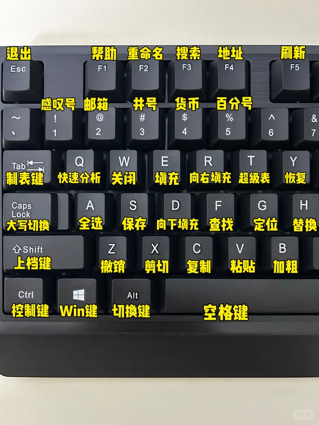 哭了😭这也太全了吧！为什么没有人告诉我🥹