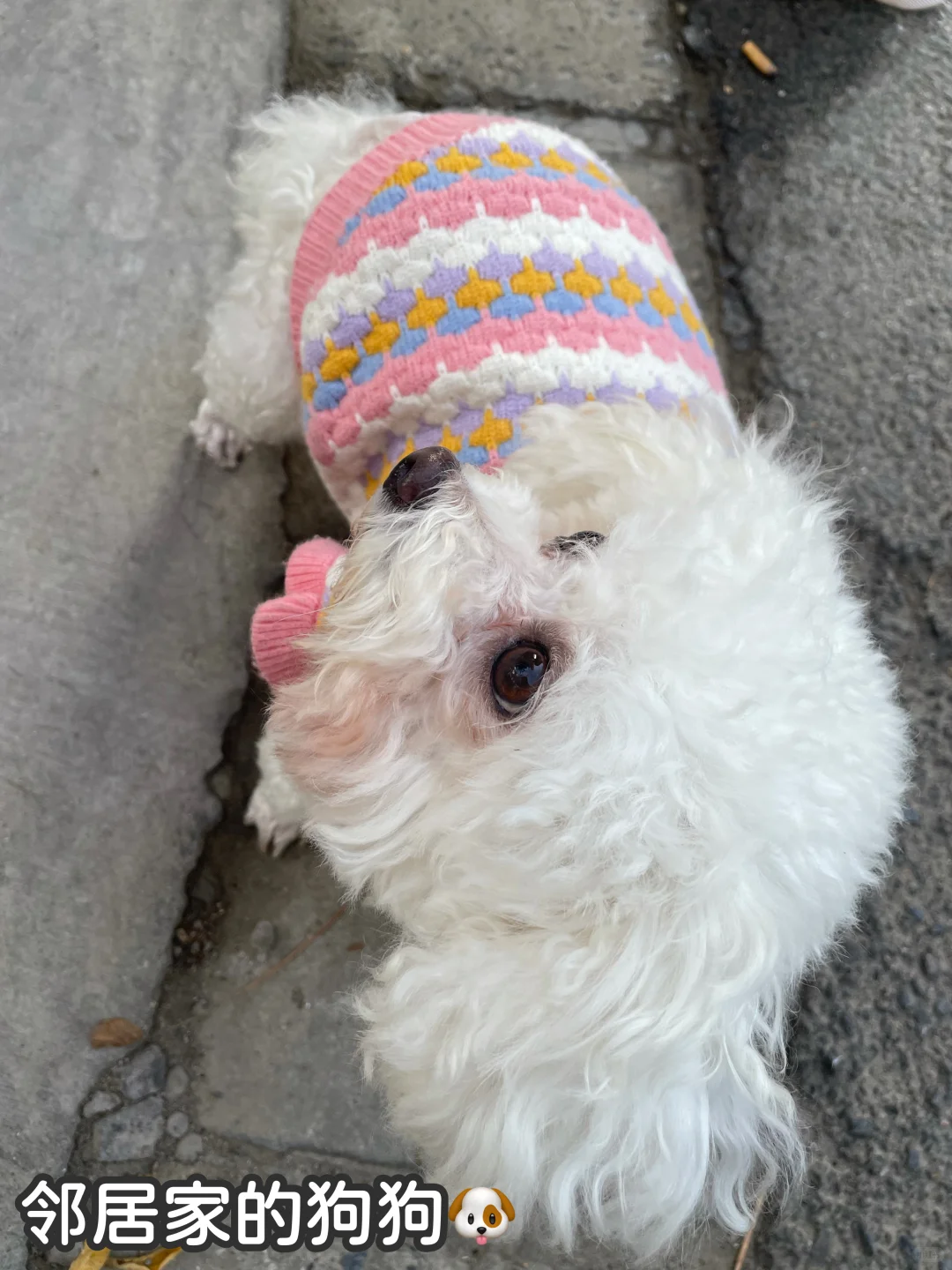 冬天是砂锅的主场！