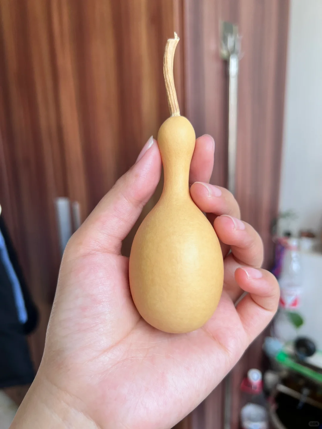 部分葫芦记录🤗期待它们的变化