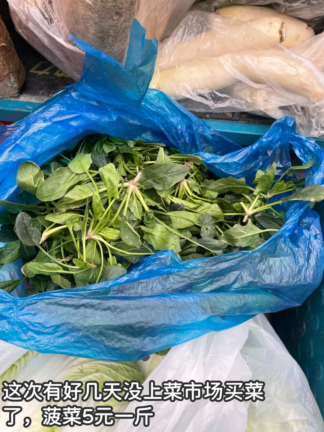 冬天是砂锅的主场！