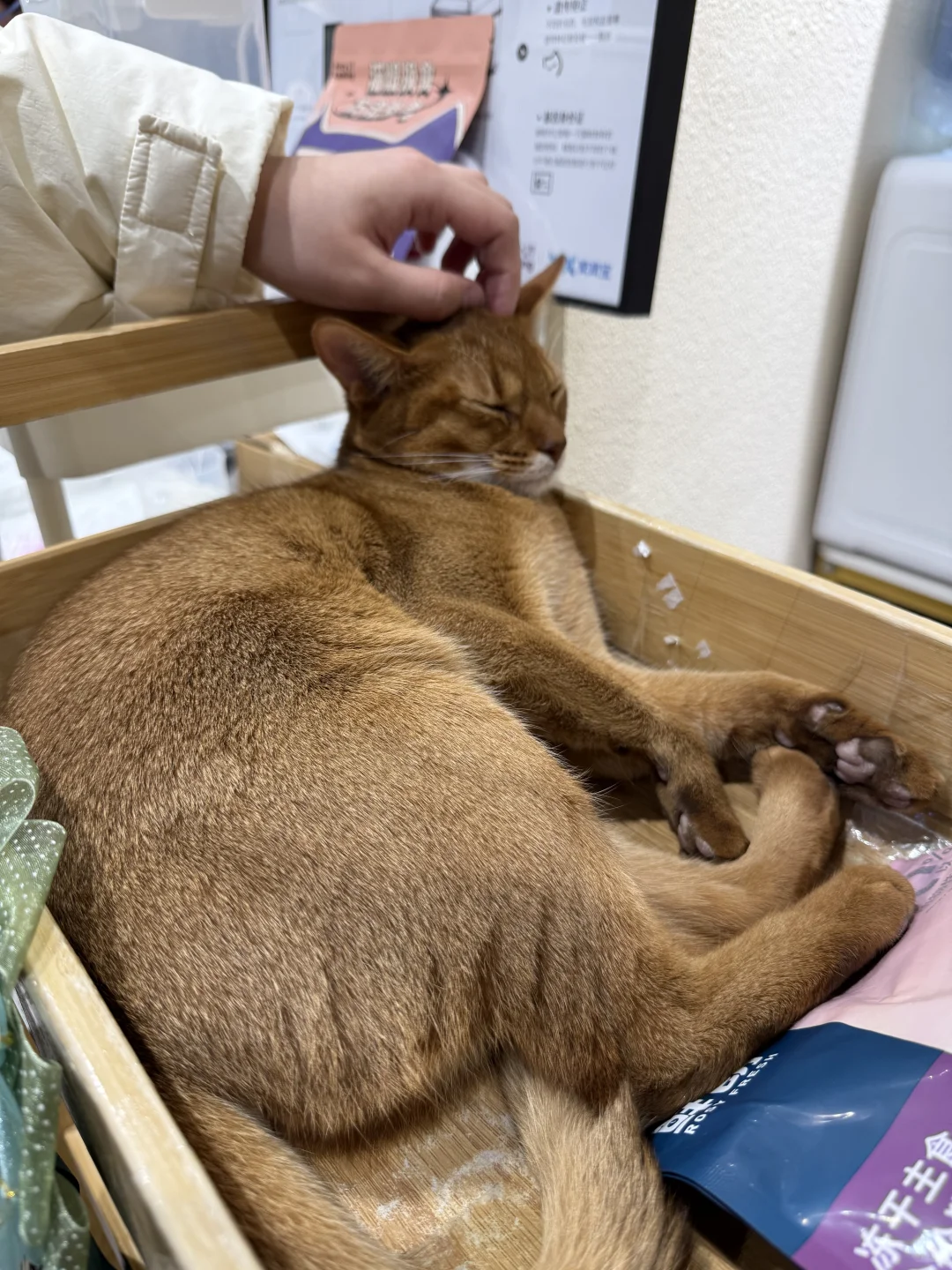 冷吗？开热点给你