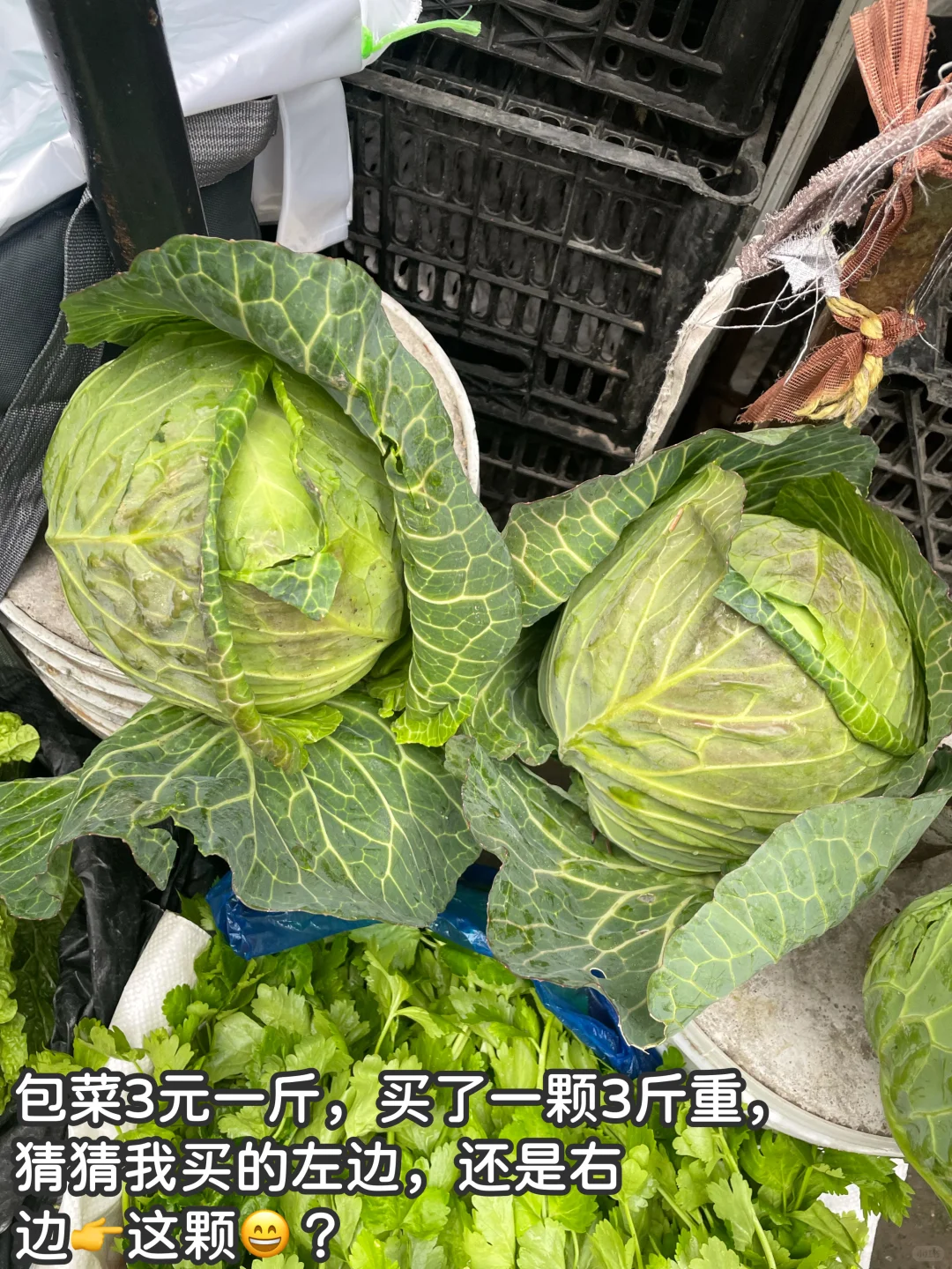 冬天是砂锅的主场！