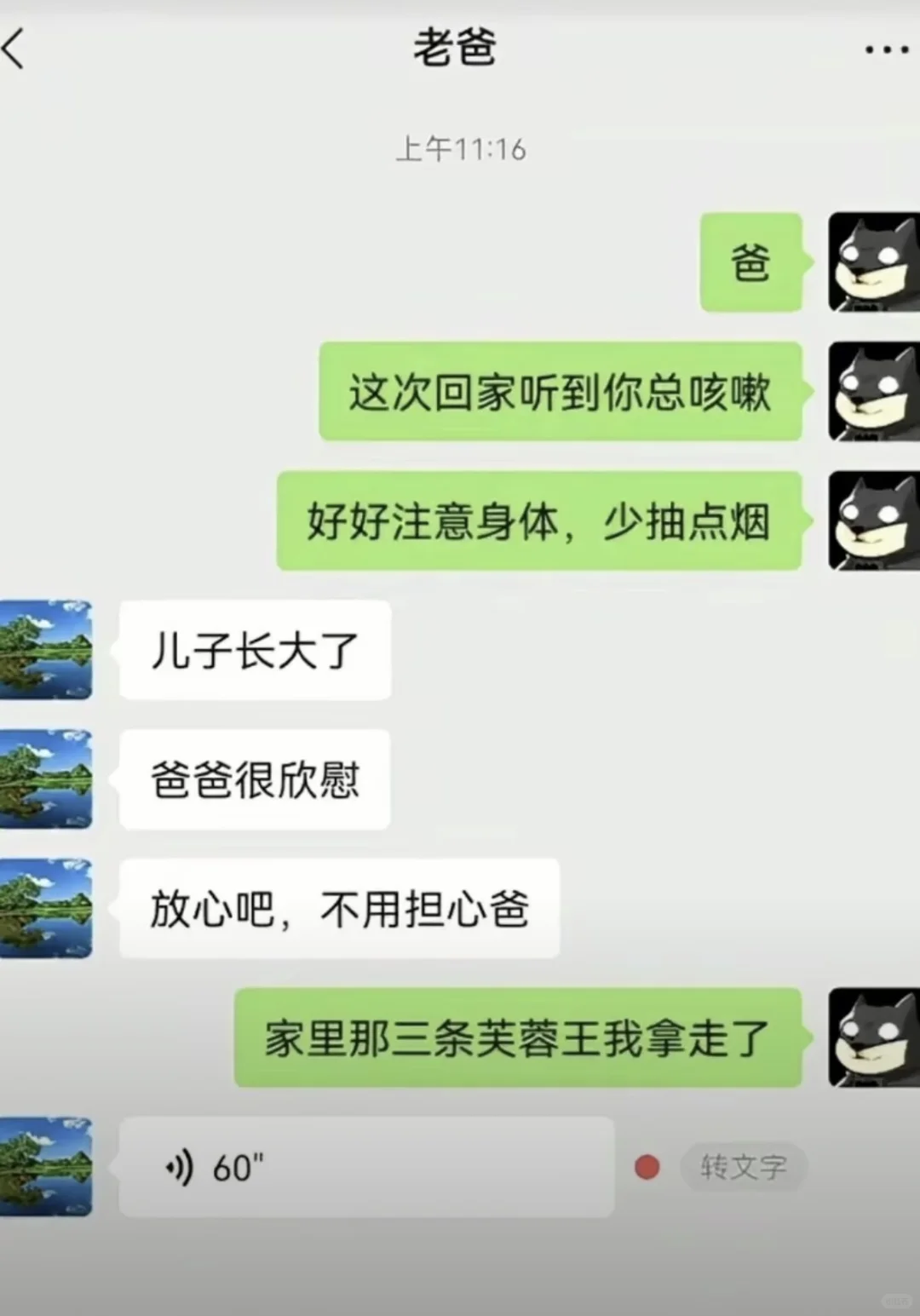 笑晕了🤣！刷网友聊天记录真的会“上瘾”