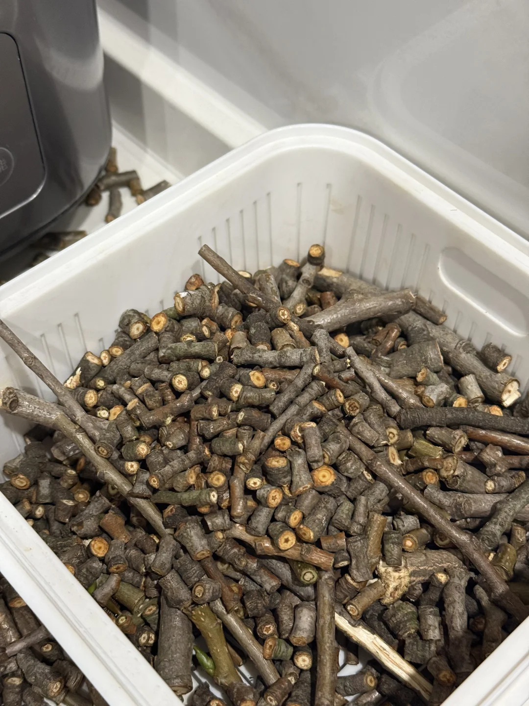 你们切星星树的人嘴是真严啊