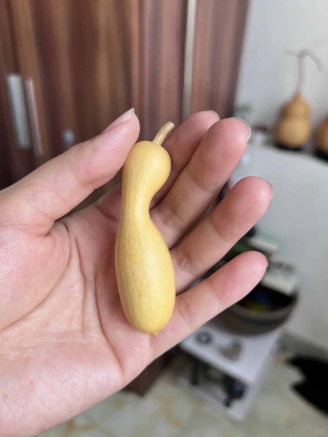 部分葫芦记录🤗期待它们的变化