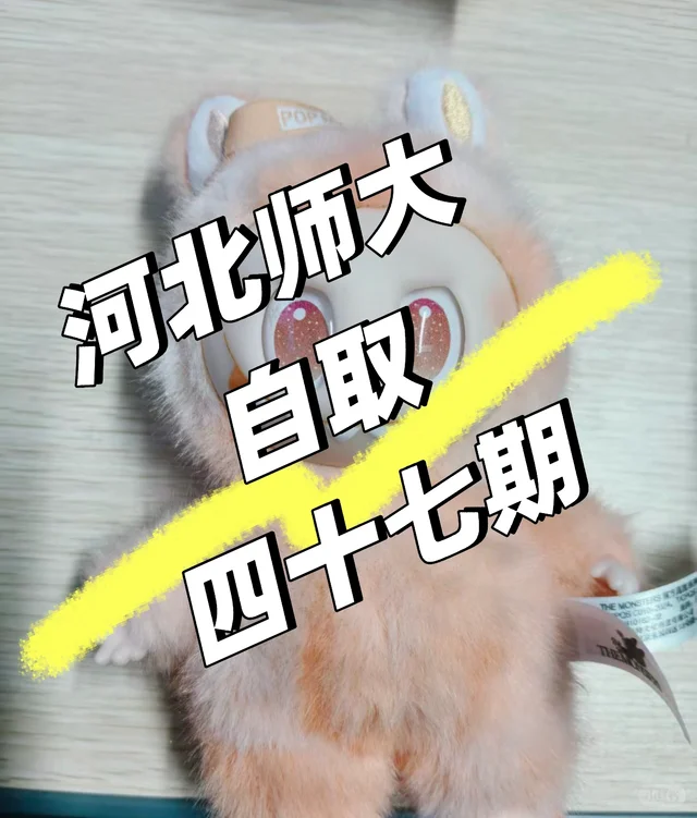 河北师大 自取 四十七